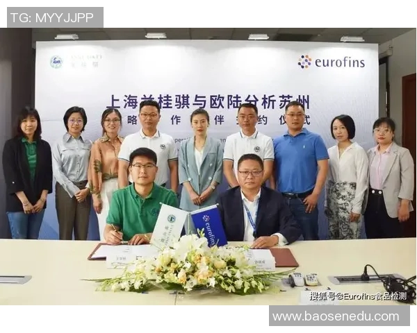 广州篮球队耐力揭秘：从训练到比赛的全方位探索与分析