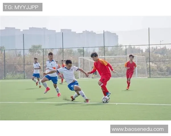 武汉乒乓球队展现卓越耐力在联赛中拼搏奋进的精彩表现