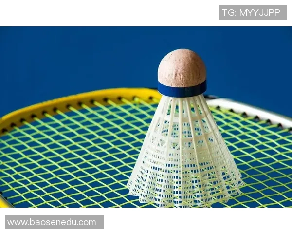 深圳羽毛球队在冠军赛中的节奏表现分析与战术解读