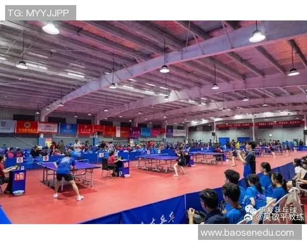 武汉乒乓球队运营策略深度分析与发展前景展望