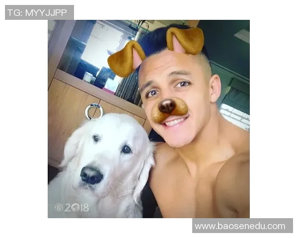 热爱足球与狗狗的明星球员们的感人故事与生活点滴